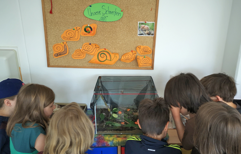 Jeden Tag beobachteten die Jungen und Mädchen aufmerksam die Schnecken, um immer mehr über sie zu erfahren. Foto: S. Lukas / DPFA Leipzig